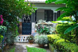 Maximalist Gardening